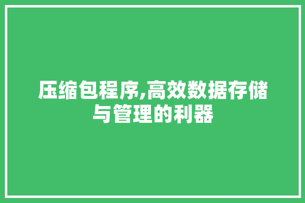 压缩包程序,高效数据存储与管理的利器
