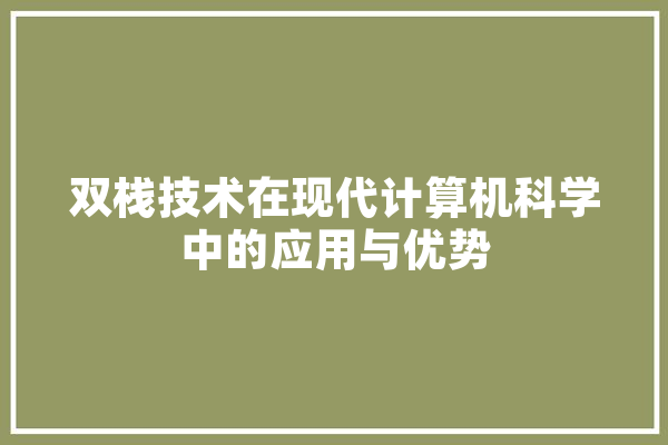 双栈技术在现代计算机科学中的应用与优势 智能问答