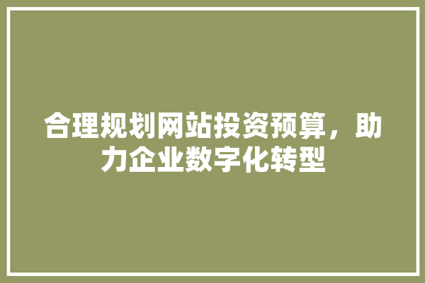 合理规划网站投资预算，助力企业数字化转型