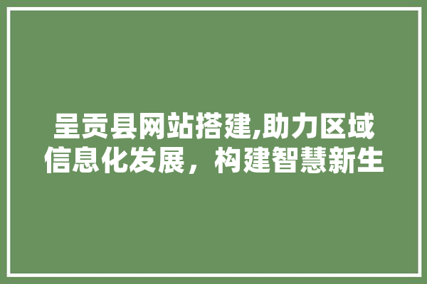 呈贡县网站搭建,助力区域信息化发展，构建智慧新生态 文字写作