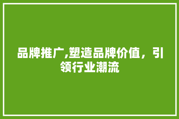 品牌推广,塑造品牌价值，引领行业潮流