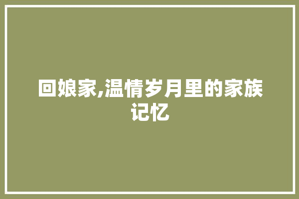 回娘家,温情岁月里的家族记忆