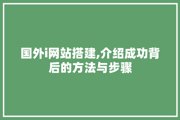 国外i网站搭建,介绍成功背后的方法与步骤