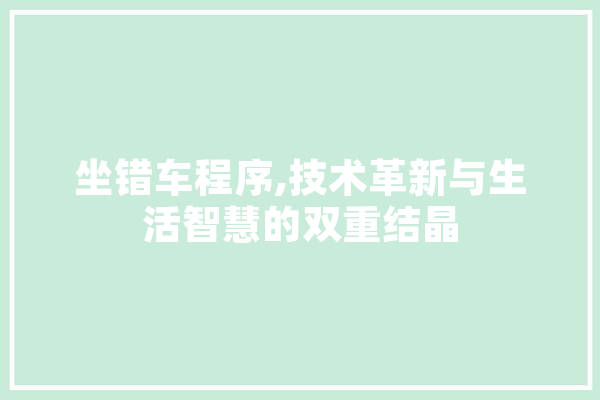 坐错车程序,技术革新与生活智慧的双重结晶 绘影字幕