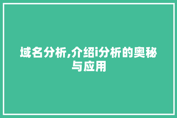 域名分析,介绍i分析的奥秘与应用