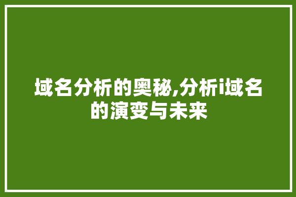 域名分析的奥秘,分析i域名的演变与未来