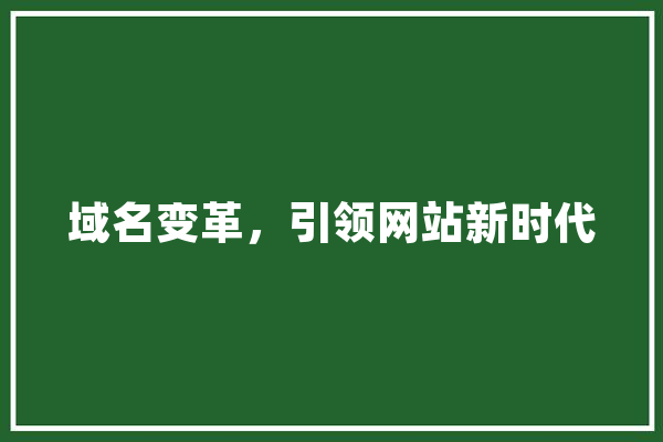 域名变革，引领网站新时代 智能助手