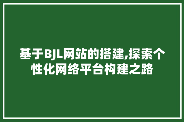 基于BJL网站的搭建,探索个性化网络平台构建之路 智能写作