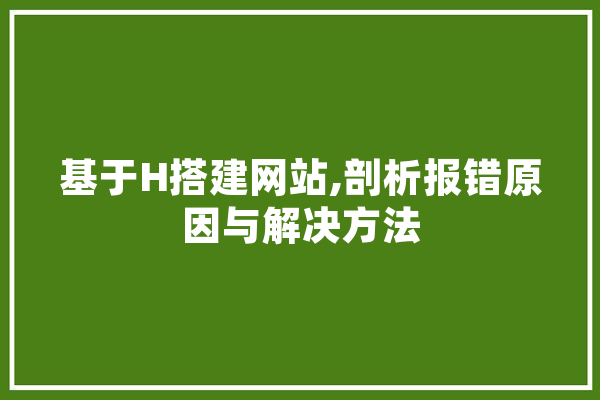 基于H搭建网站,剖析报错原因与解决方法