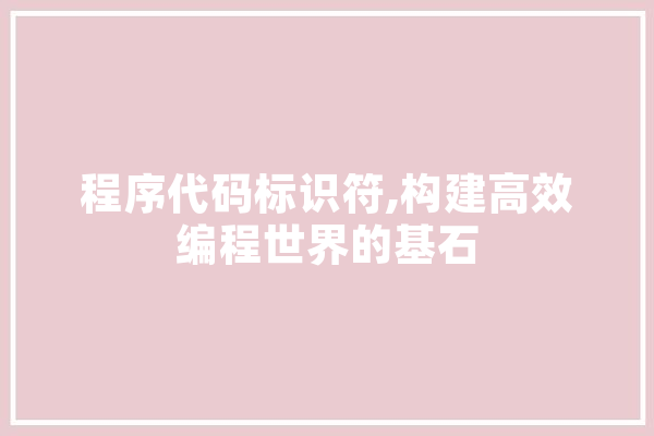 程序代码标识符,构建高效编程世界的基石