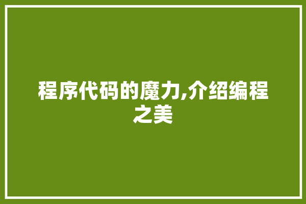 程序代码的魔力,介绍编程之美 绘影字幕