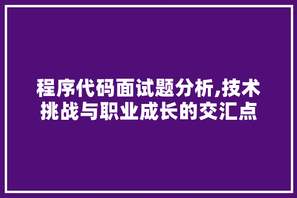 程序代码面试题分析,技术挑战与职业成长的交汇点 智能助手