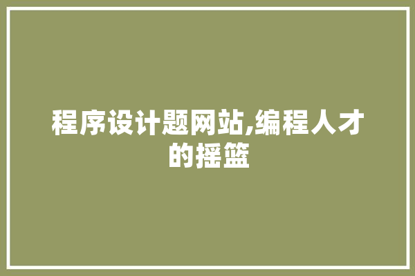 程序设计题网站,编程人才的摇篮 计算机