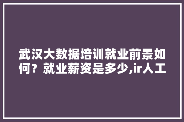 武汉大数据培训就业前景如何？就业薪资是多少,ir人工智能 计算机