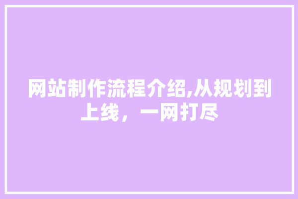 网站制作流程介绍,从规划到上线，一网打尽 智能写作