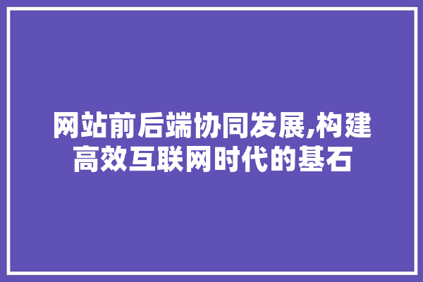 网站前后端协同发展,构建高效互联网时代的基石 智能写作