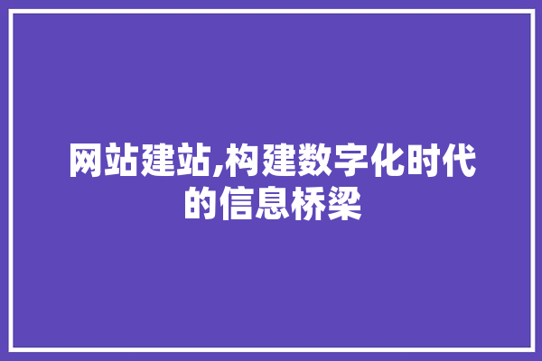 网站建站,构建数字化时代的信息桥梁 文字写作