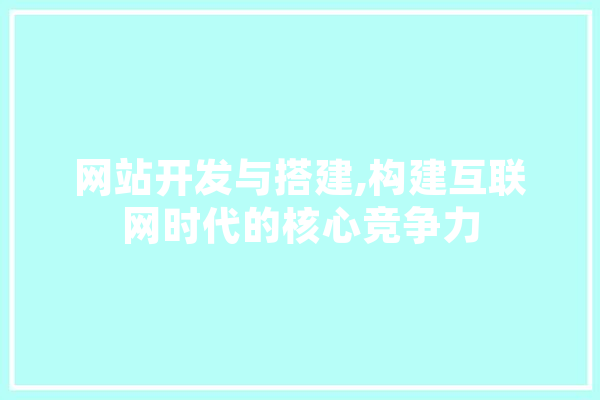 网站开发与搭建,构建互联网时代的核心竞争力