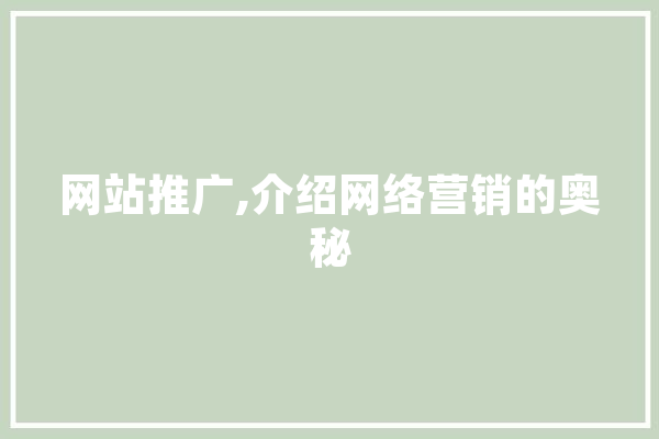 网站推广,介绍网络营销的奥秘
