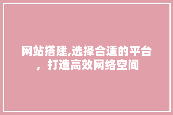 网站搭建,选择合适的平台，打造高效网络空间