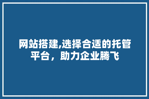网站搭建,选择合适的托管平台，助力企业腾飞 绘影字幕