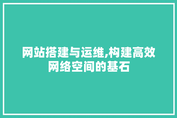 网站搭建与运维,构建高效网络空间的基石 AI快讯