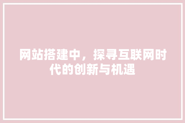 网站搭建中，探寻互联网时代的创新与机遇 绘影字幕