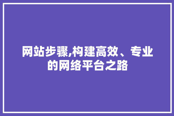 网站步骤,构建高效、专业的网络平台之路 AI快讯