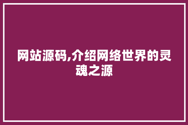 网站源码,介绍网络世界的灵魂之源