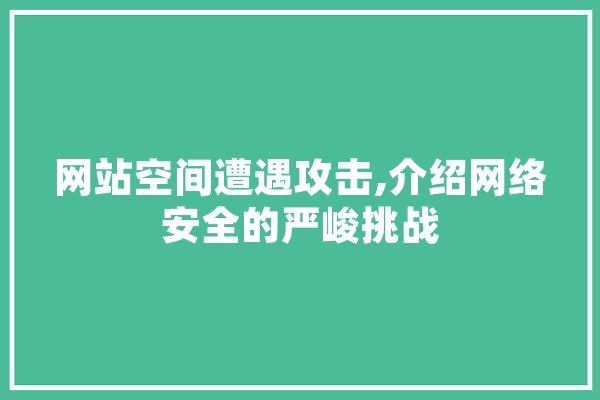 网站空间遭遇攻击,介绍网络安全的严峻挑战