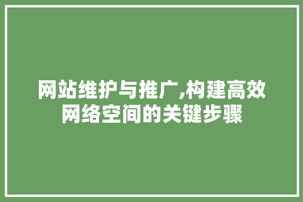 网站维护与推广,构建高效网络空间的关键步骤 云服务