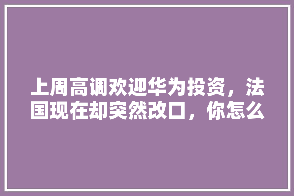 上周高调欢迎华为投资，法国现在却突然改口，你怎么看,法国人工智能大学排名 智能助手
