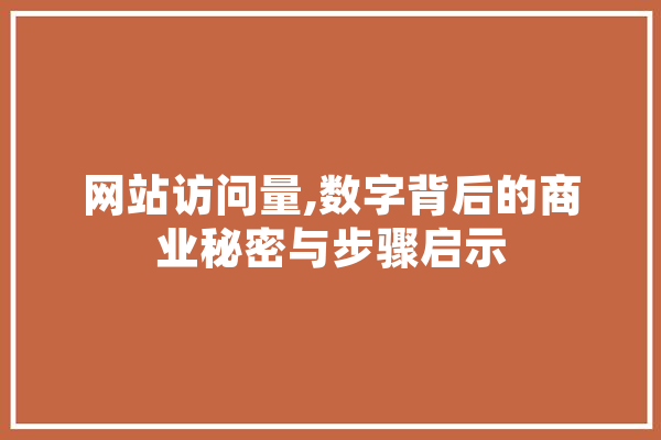 网站访问量,数字背后的商业秘密与步骤启示 文字写作