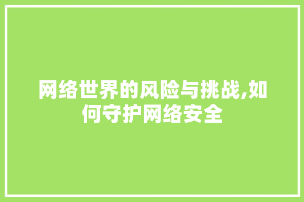 网络世界的风险与挑战,如何守护网络安全 绘影字幕