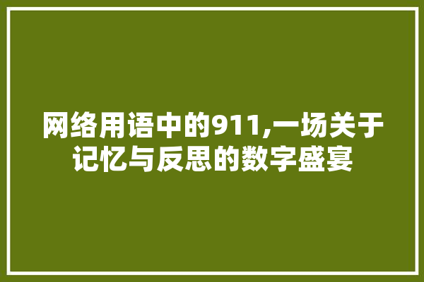 网络用语中的911,一场关于记忆与反思的数字盛宴 科技快讯