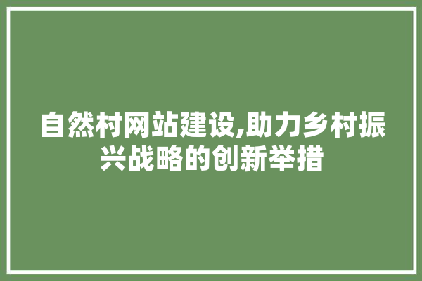 自然村网站建设,助力乡村振兴战略的创新举措 绘影字幕