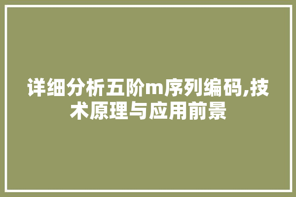 详细分析五阶m序列编码,技术原理与应用前景