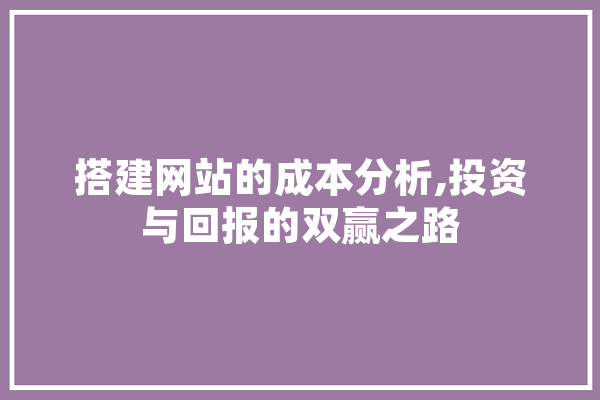 搭建网站的成本分析,投资与回报的双赢之路 文字写作