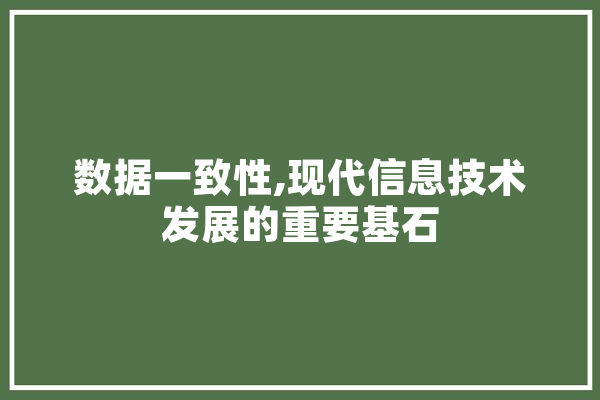 数据一致性,现代信息技术发展的重要基石