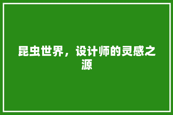 昆虫世界，设计师的灵感之源