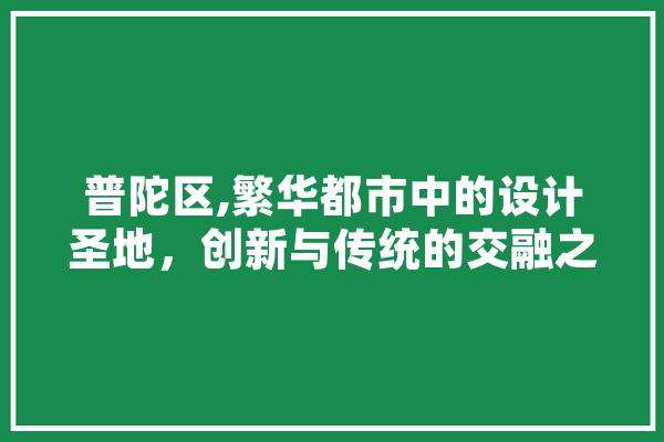 普陀区,繁华都市中的设计圣地，创新与传统的交融之地