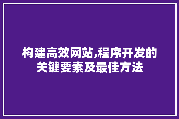 构建高效网站,程序开发的关键要素及最佳方法 智能写作
