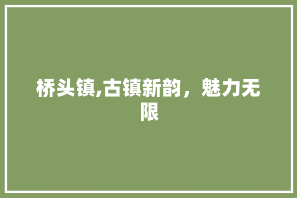 桥头镇,古镇新韵，魅力无限