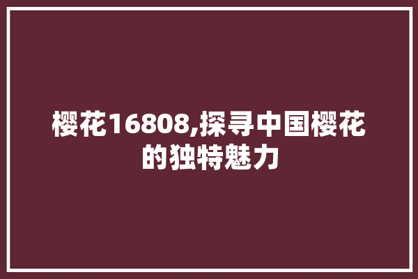 樱花16808,探寻中国樱花的独特魅力 文字写作