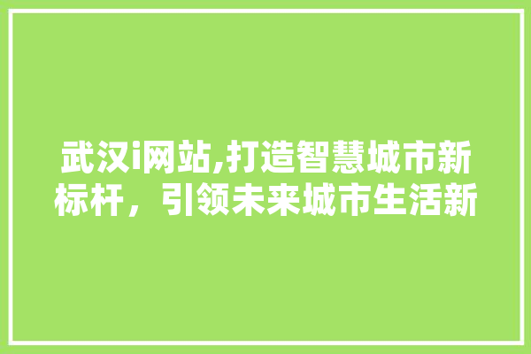 武汉i网站,打造智慧城市新标杆，引领未来城市生活新潮流