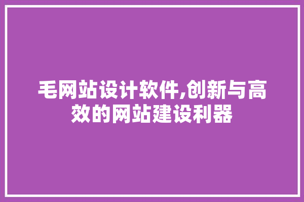 毛网站设计软件,创新与高效的网站建设利器 绘影字幕