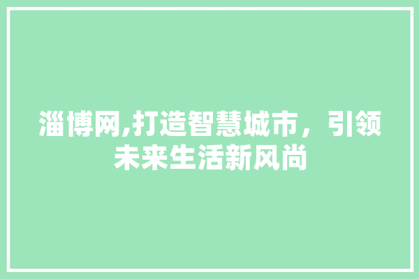 淄博网,打造智慧城市，引领未来生活新风尚 绘影字幕