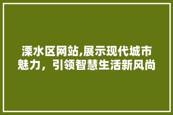 溧水区网站,展示现代城市魅力，引领智慧生活新风尚