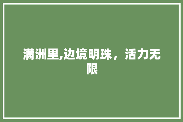 满洲里,边境明珠，活力无限