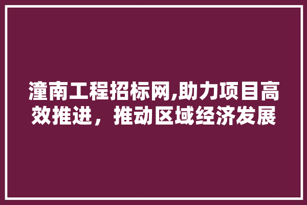 潼南工程招标网,助力项目高效推进，推动区域经济发展 文字写作